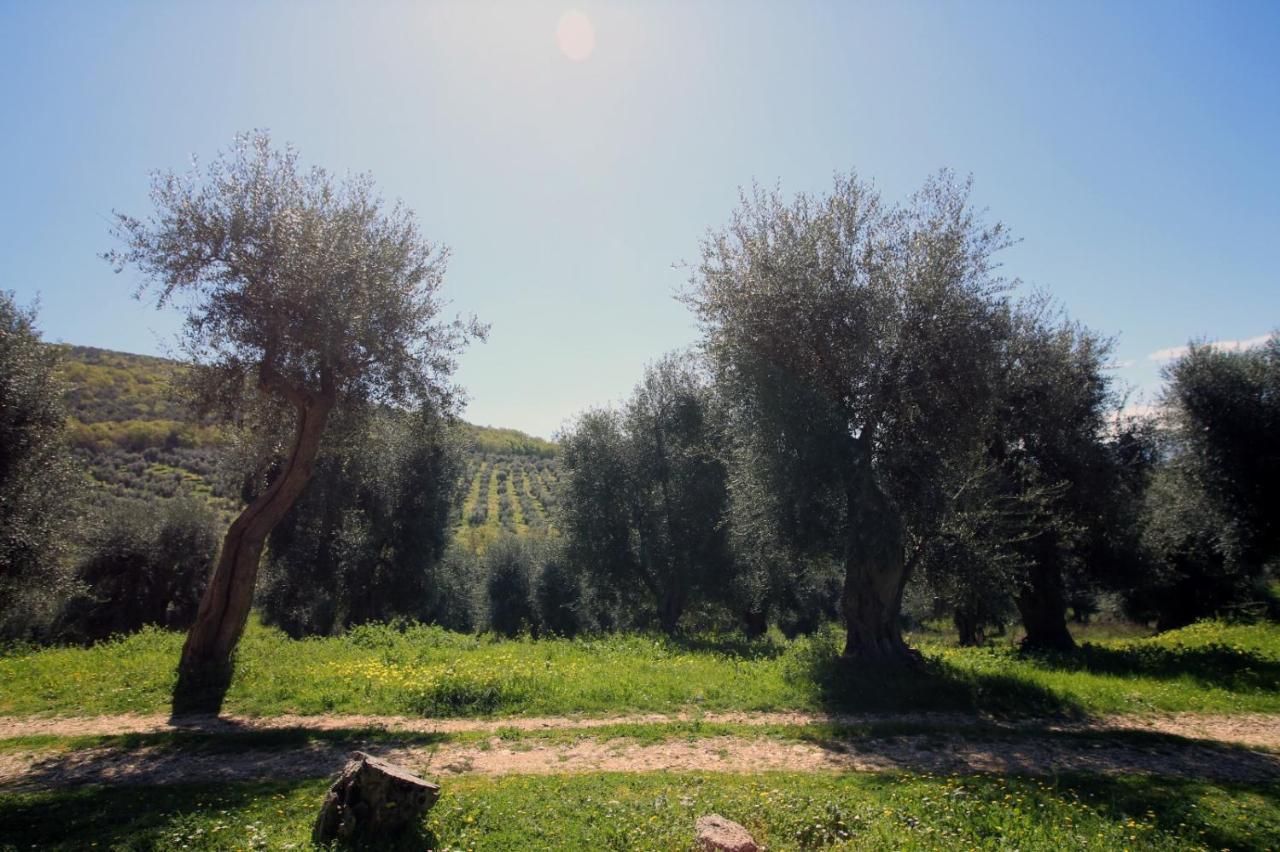 Masseria Procacci Ischitella Exteriér fotografie